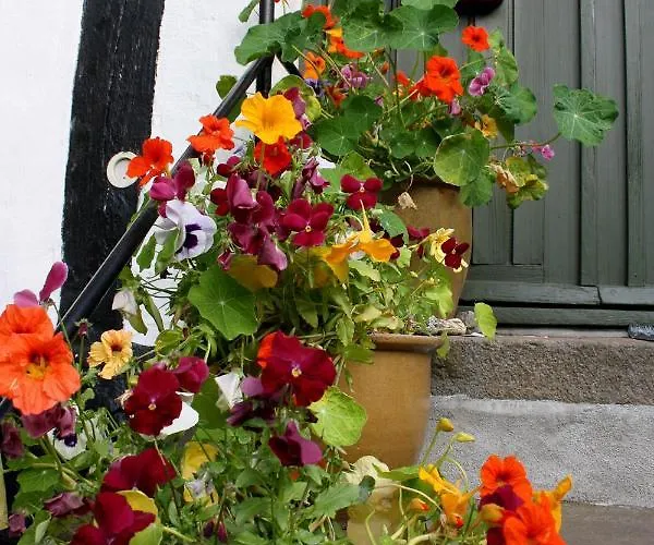 Hotell Allinge Badehotel *